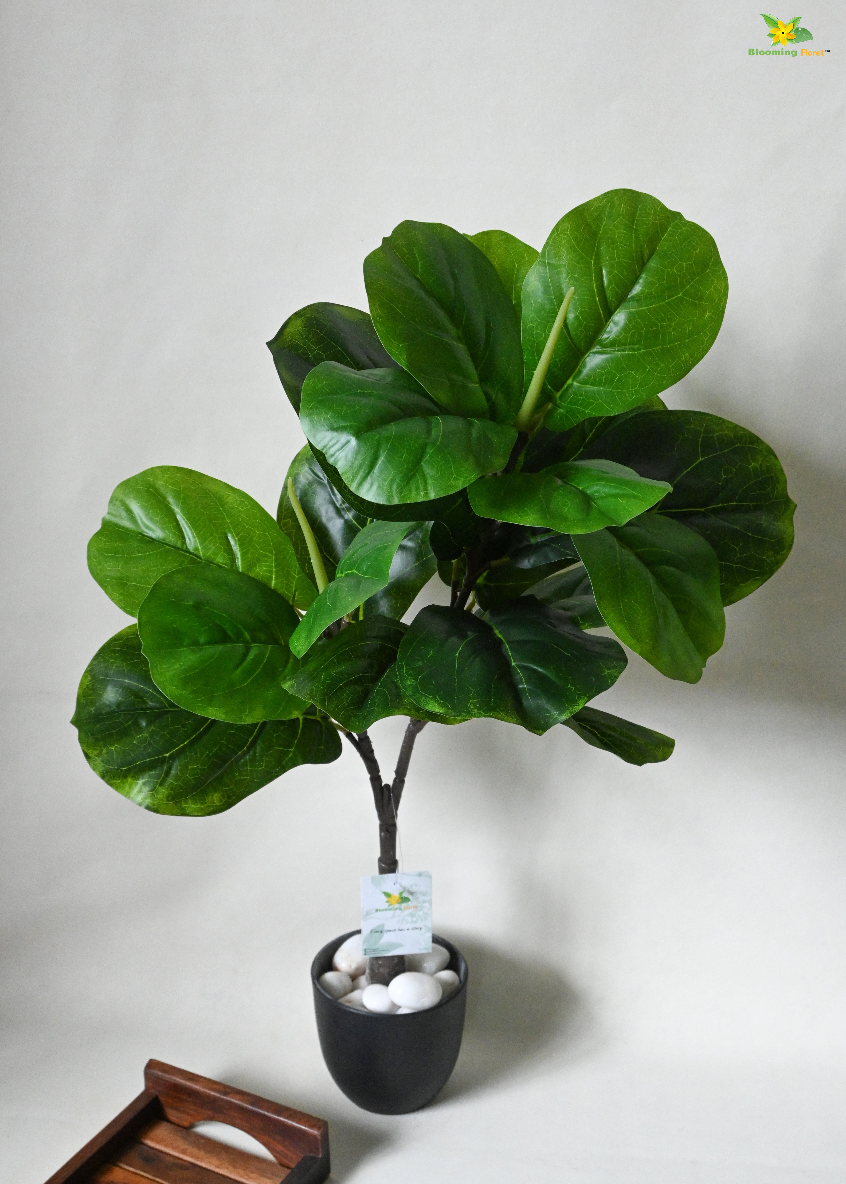 Artificial Fiddle-leaf Fig Plant For Decor 18 Leaves with Basic Pot | 71.1 cm