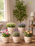 Vivid Tie-Dye Planter | Beige | 12 cm | Set of 5