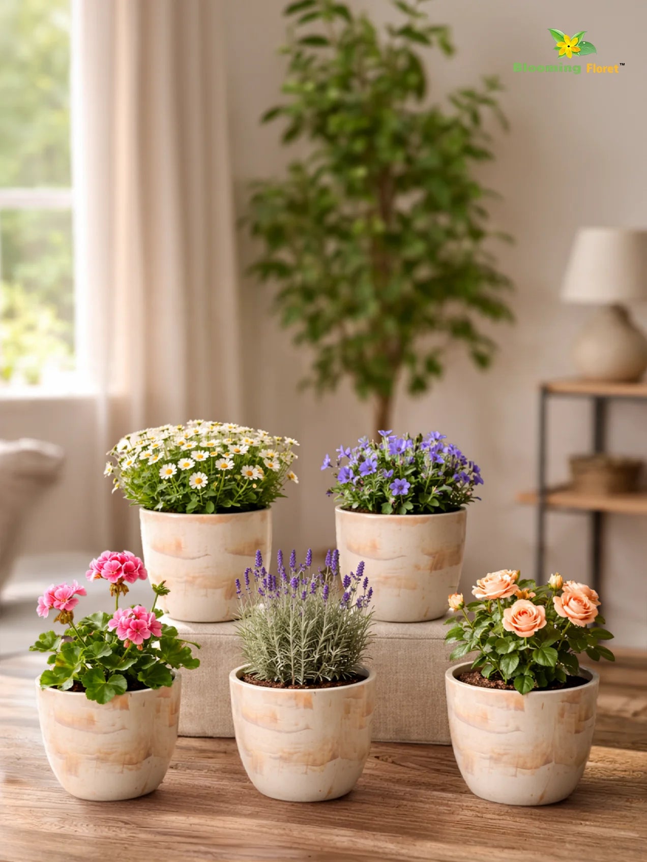 Vivid Tie-Dye Planter | Beige | 12 cm | Set of 5