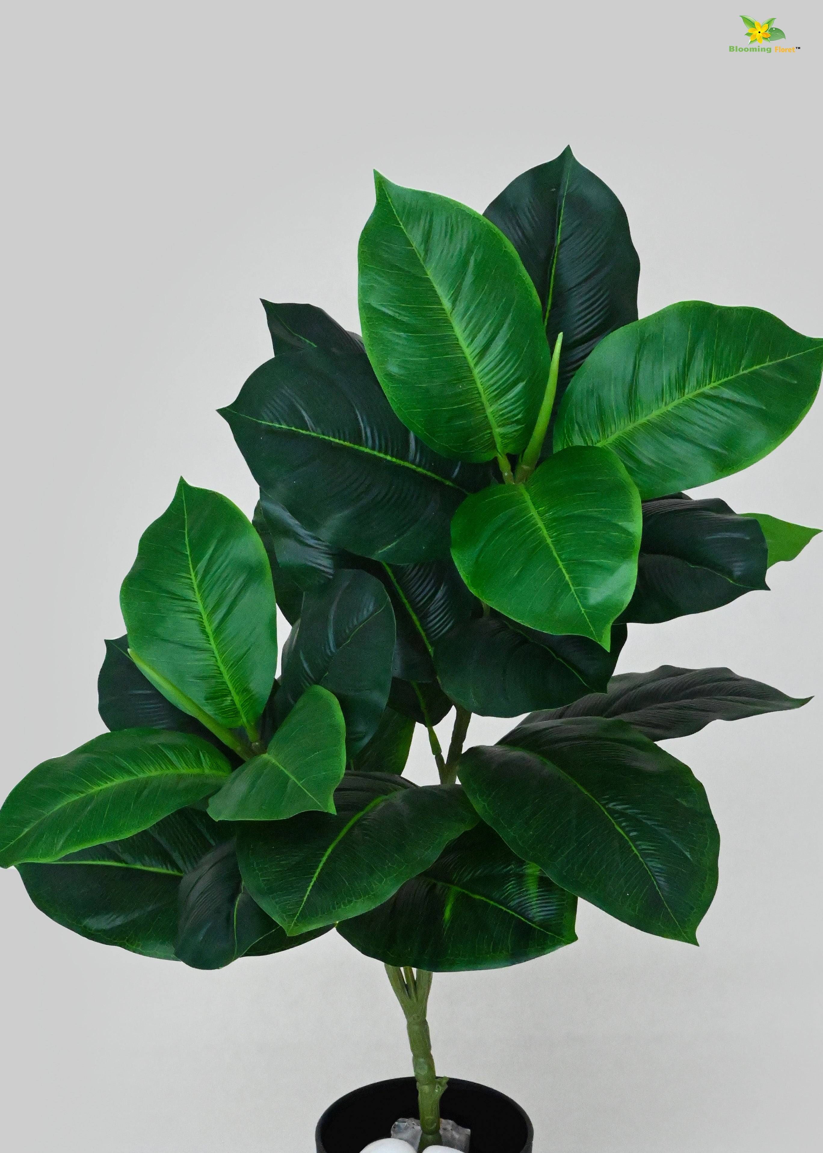 Artificial Rubber Fig Plant for Decor | 24 Leaves with Basic Pot | 74.9 cm