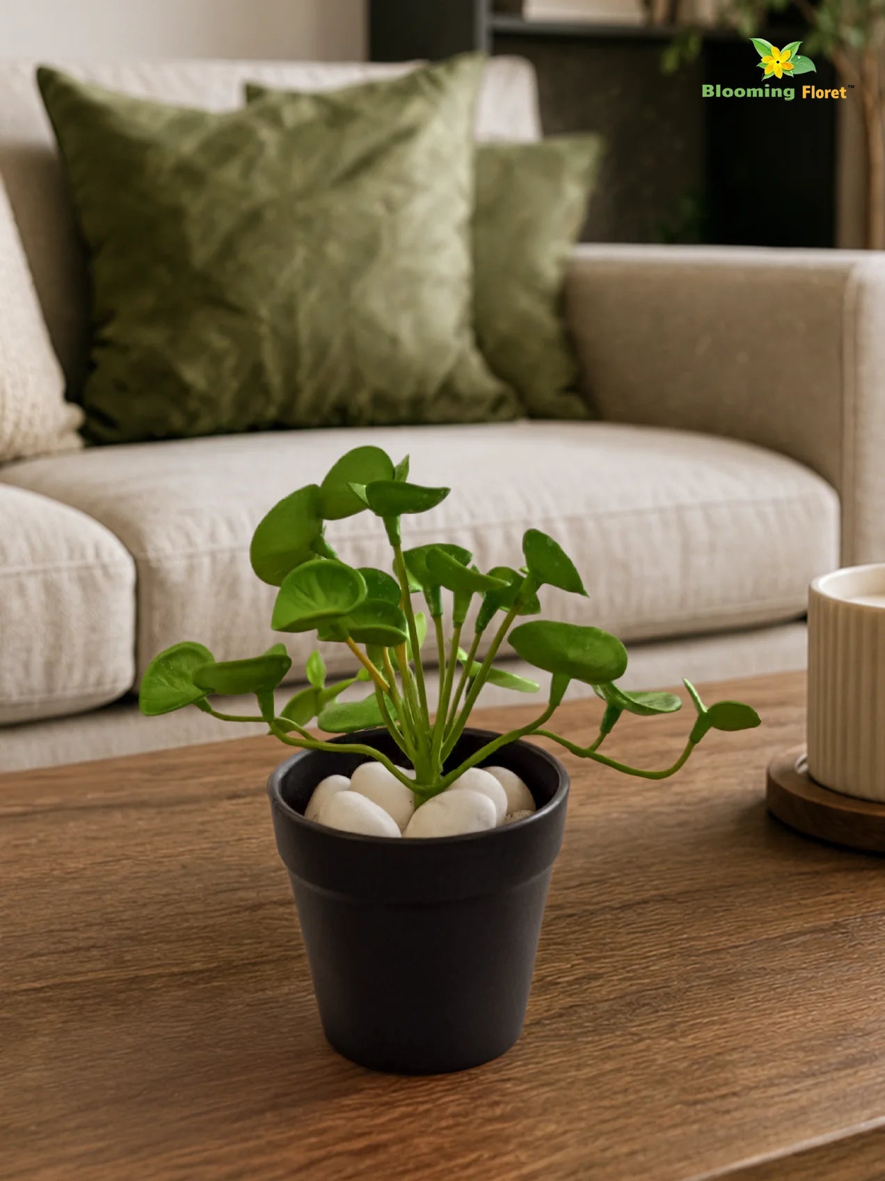 Lush Leaf Pennywort Artificial Succulent | Light Green & White Patterned | 14 cm