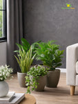 Decorative Pots | Light Brown | 17 cm | Set of 5