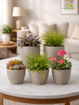 Decorative Pots | Light Brown | 15 cm | Set of 5