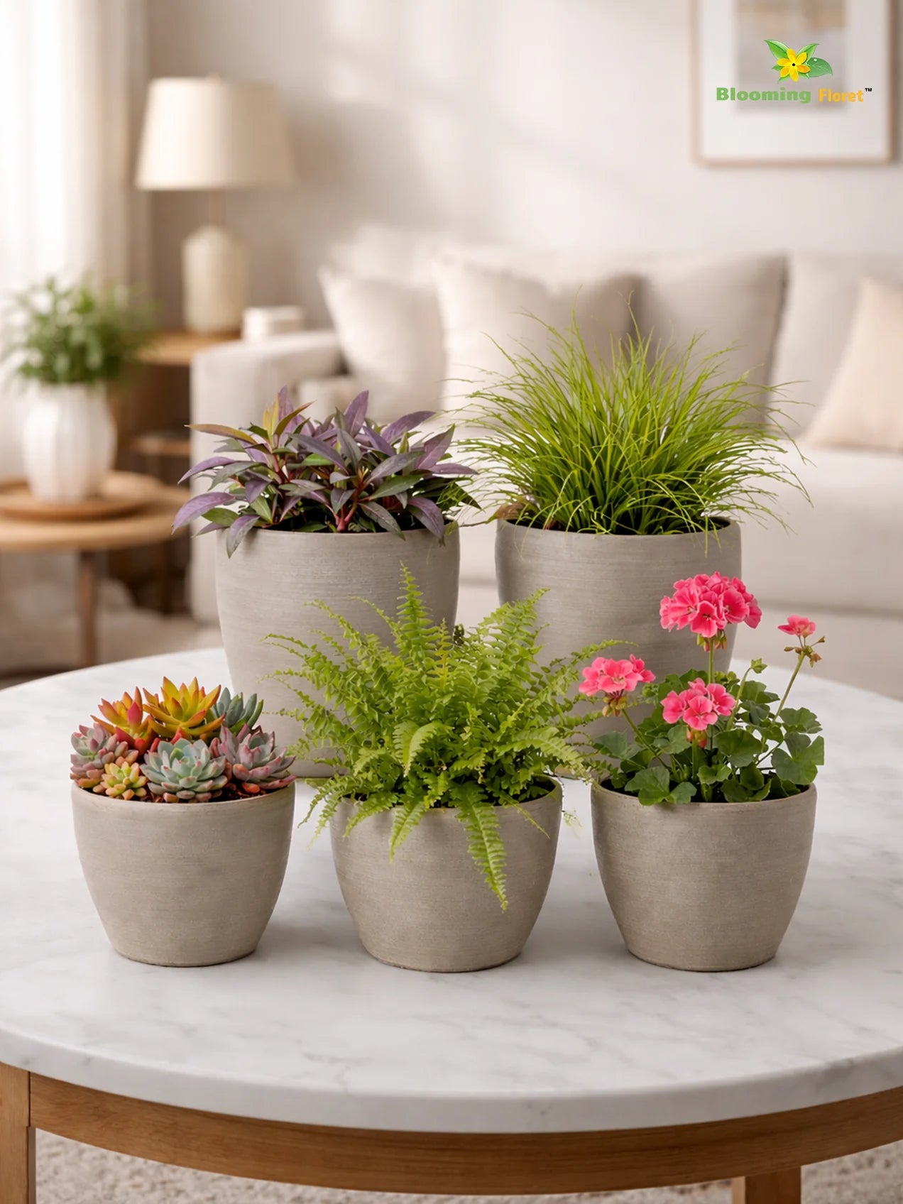 Decorative Pots | Light Brown | 15 cm | Set of 5