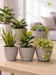 Decorative Pots | Light Brown | 12 cm | Set of 5