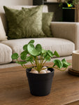 Lush Leaf Pennywort Artificial Succulent | Dark Green & White | 14 cm
