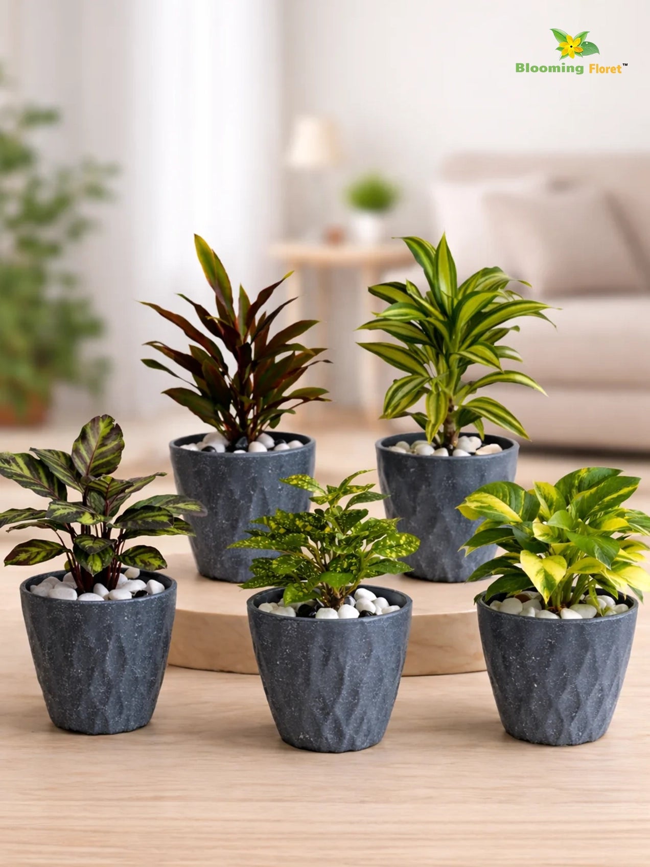 Diamond Pattern Round Planter | 13 cm | Set of 5