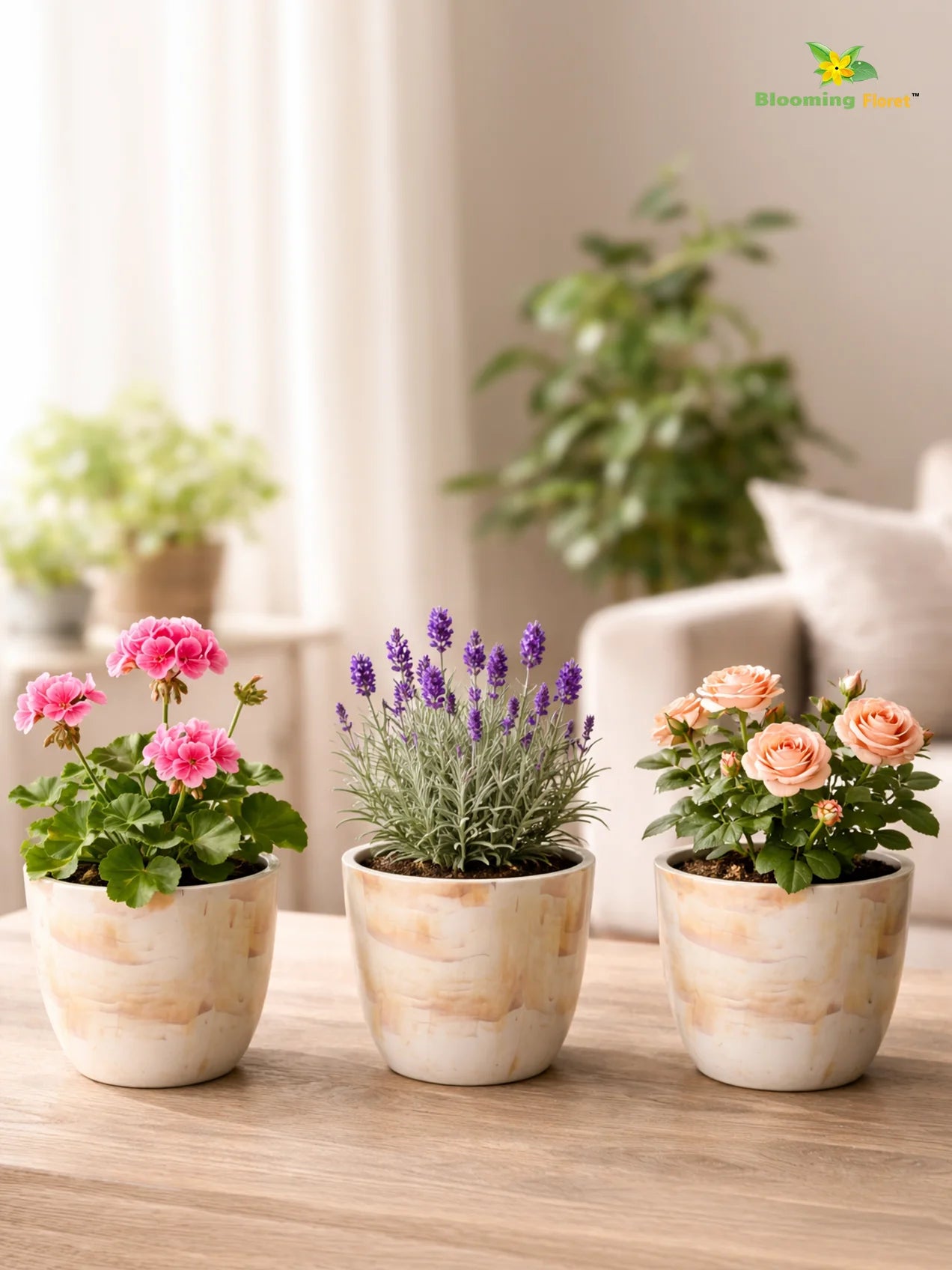 Vivid Tie-Dye Planter | Beige | 12 cm | Set of 3