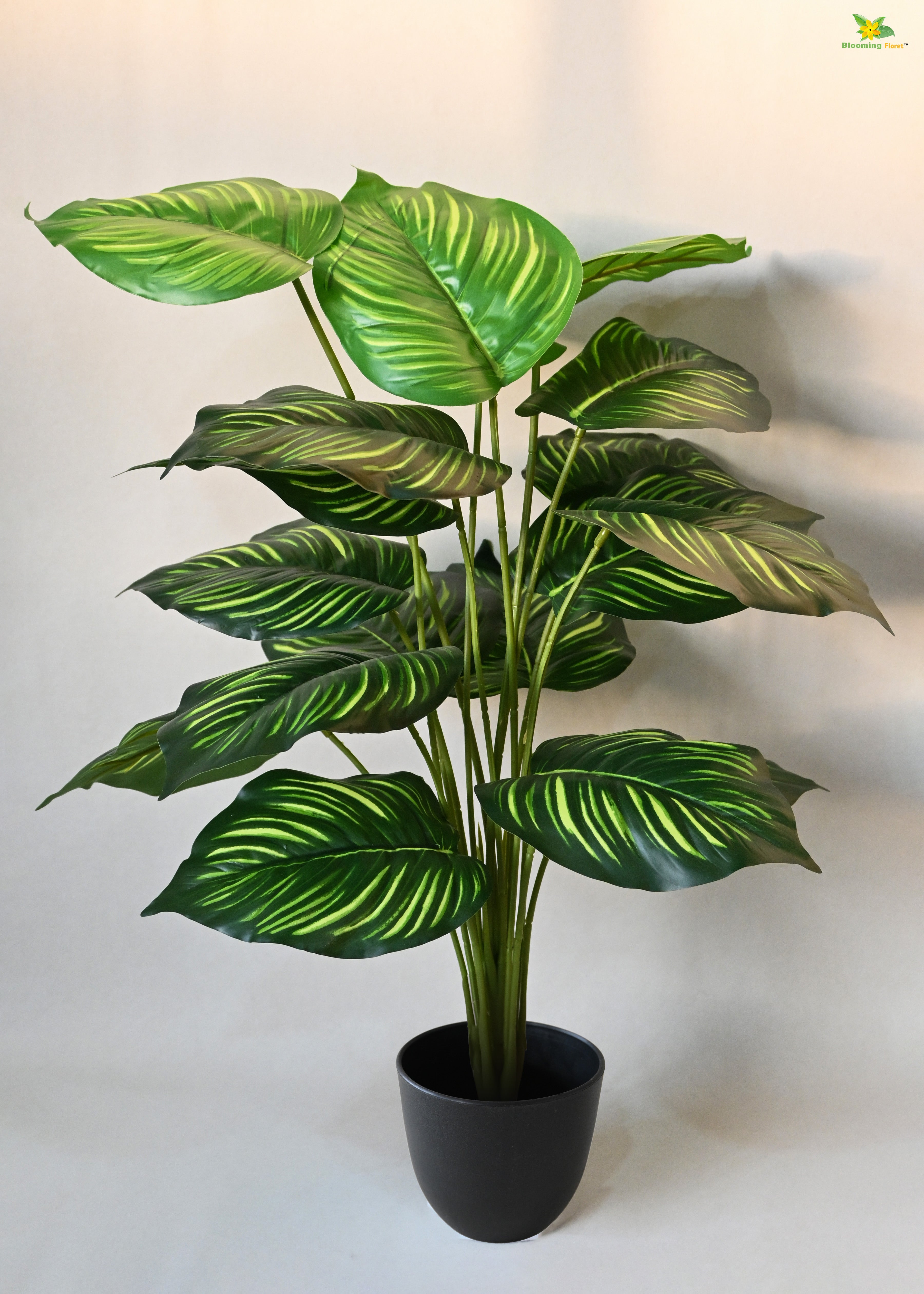 Artificial Calathea Orbifolia Plant for Decor 18 Leaves with Basic Pot | 63.5 cm