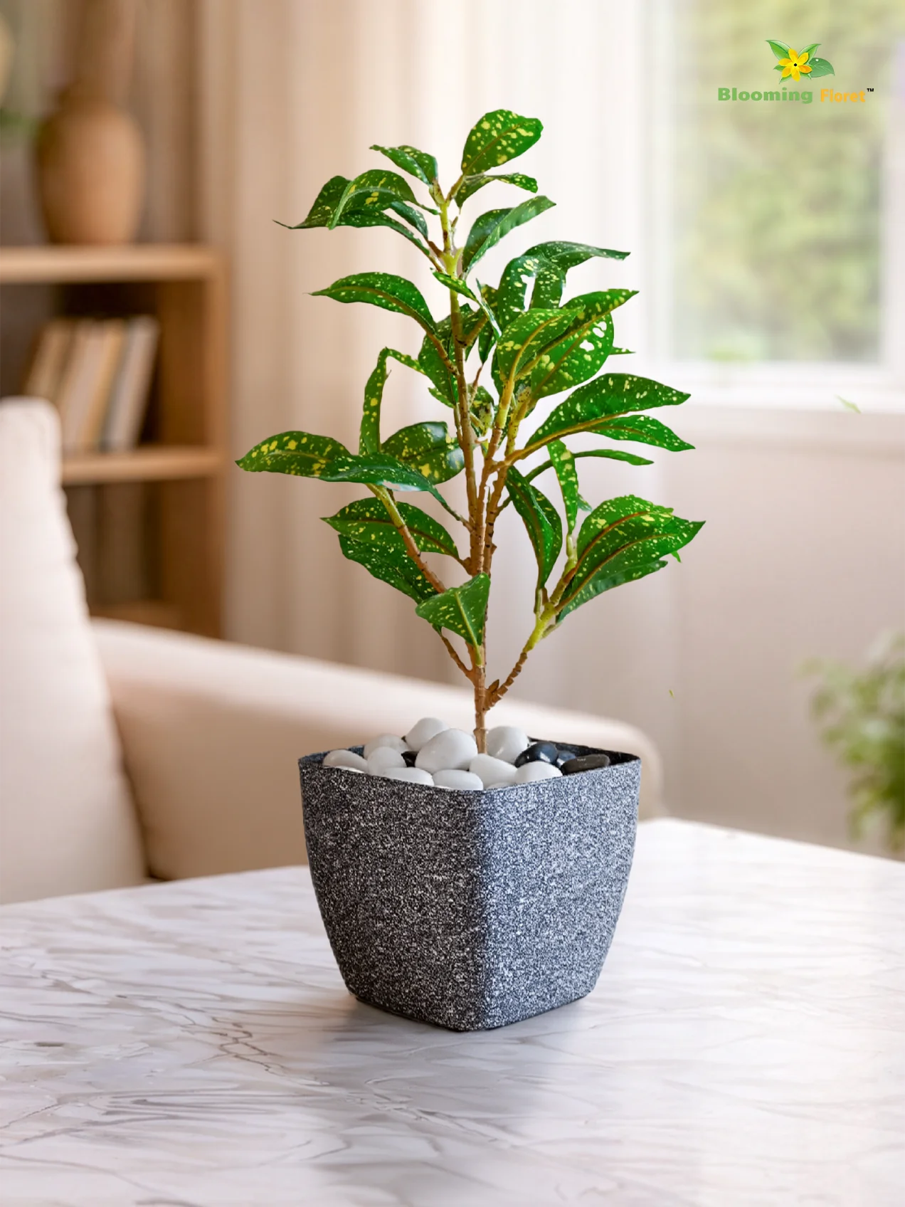 Coarse Textured Square Planter Pot | 13 cm