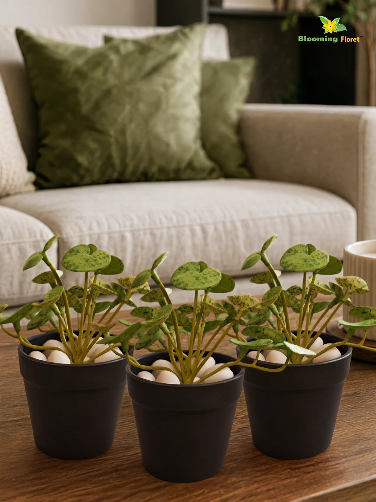 Lush Leaf Pennywort Artificial Succulent | Mixed Green Patterned | 14 cm | Set of 3