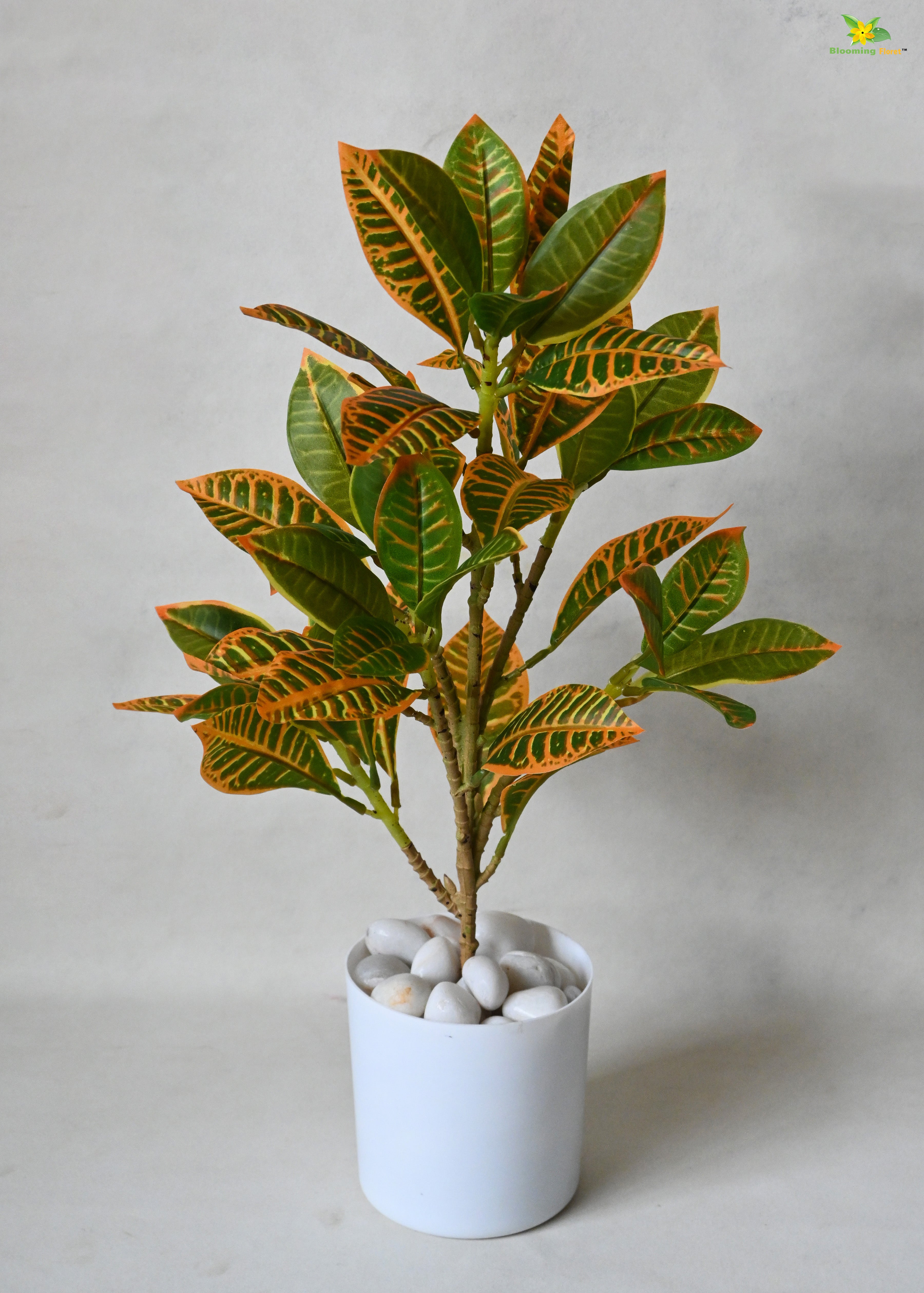 Artificial Croton Plant for Decor with Basic Pot | 45.7 cm