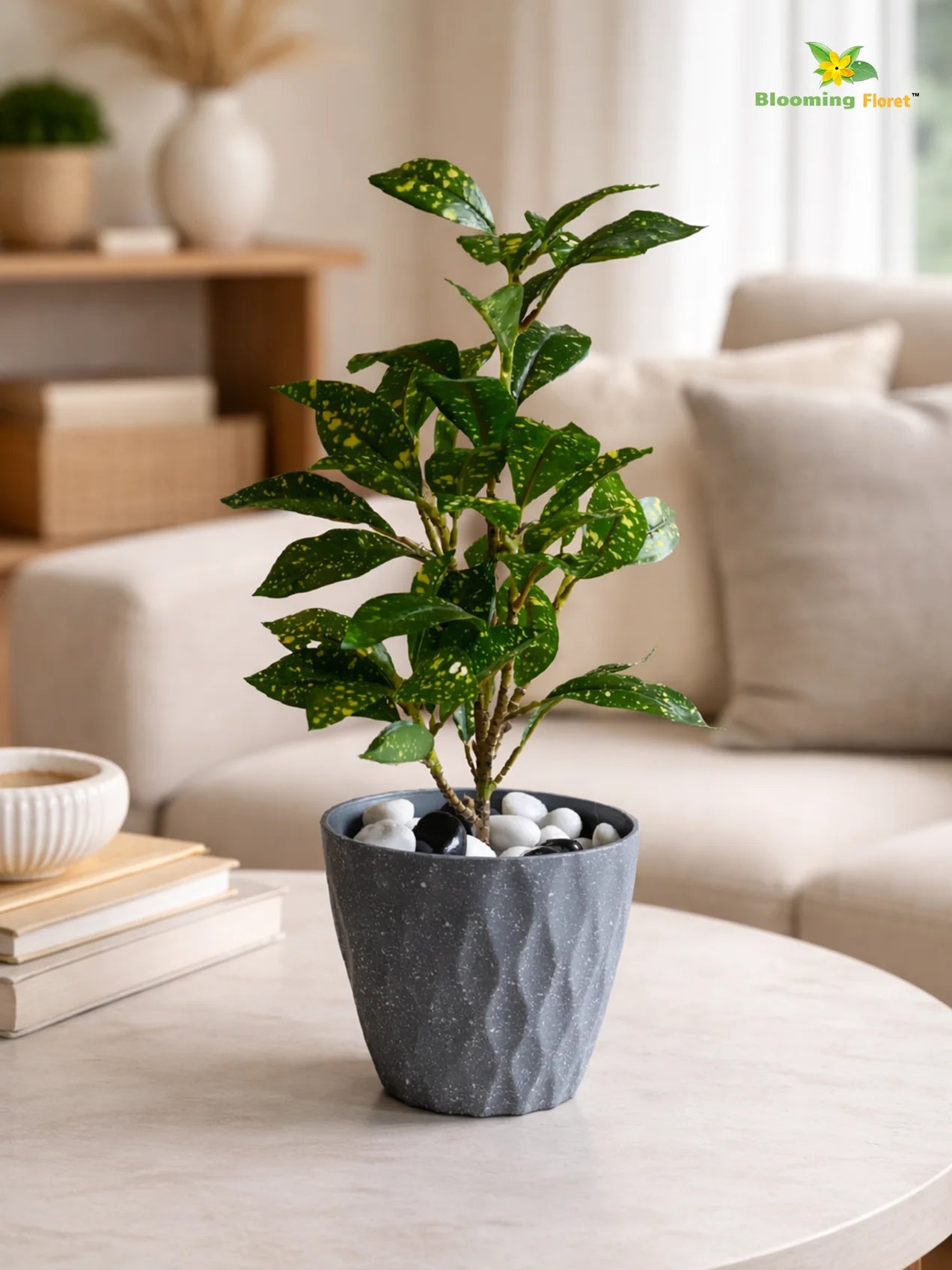 Diamond Pattern Round Planter | 11.5 cm