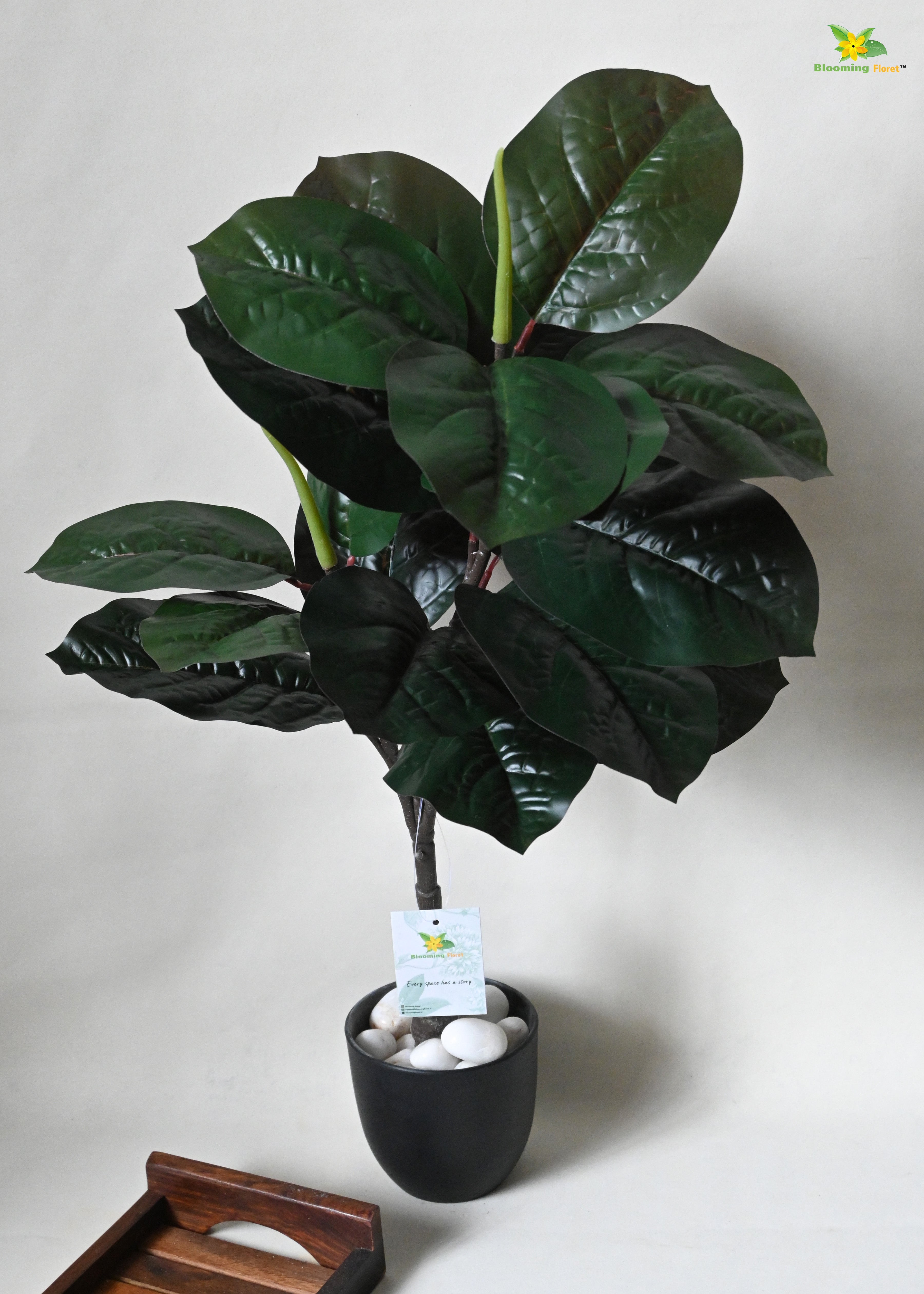 Artificial Wax Plant For Decor 18 Leaves with Basic Pot | 71.1 cm