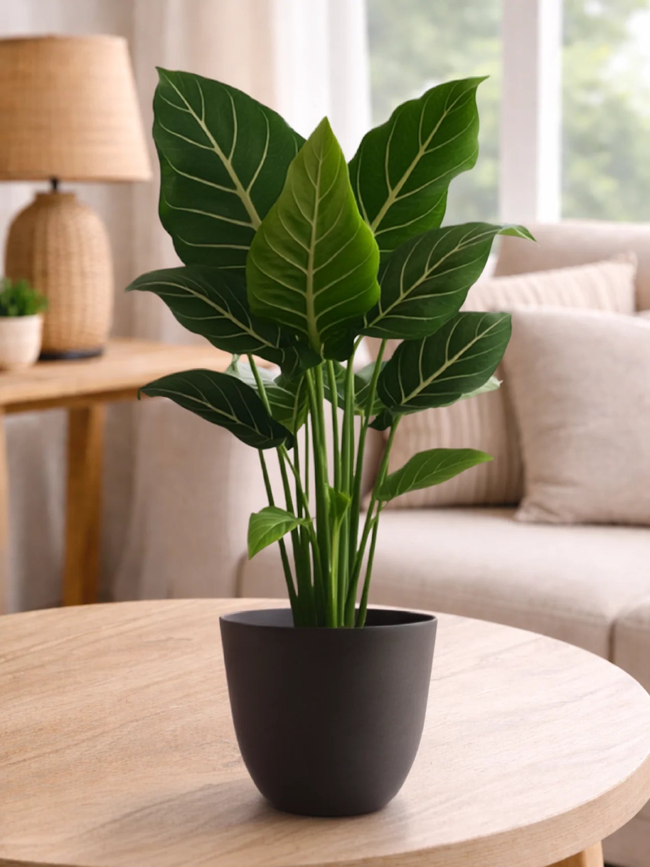 Black Round Planter | 17 cm