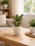 Elegant Ribbed Melamine Pot | White | 16 cm