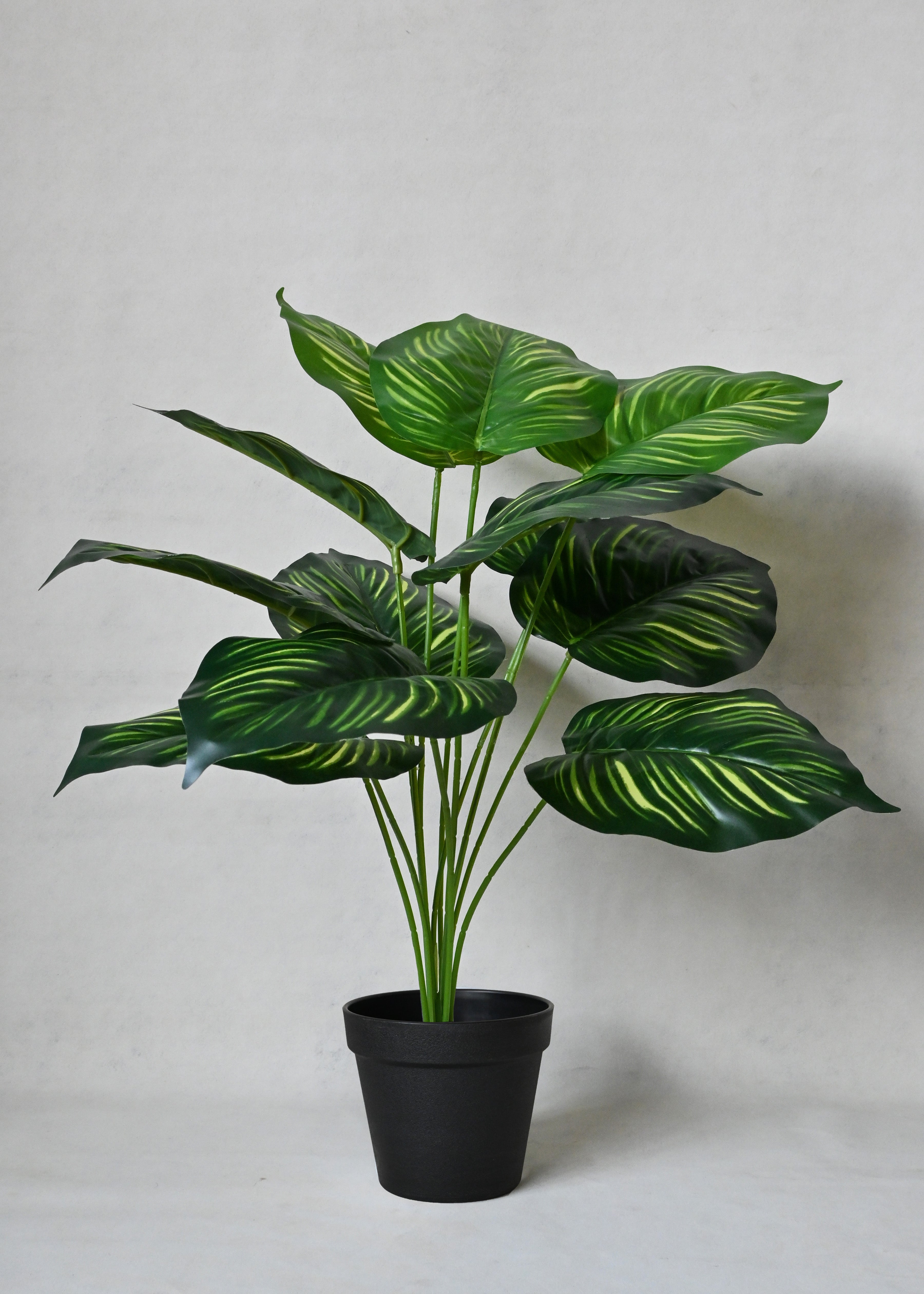 Artificial Calathea Orbifolia Plant for Decor 12 Leaves with Basic Pot | 65 cm