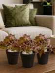 Artificial Ivy Succulent | Army Green | 10 cm | Set of 3