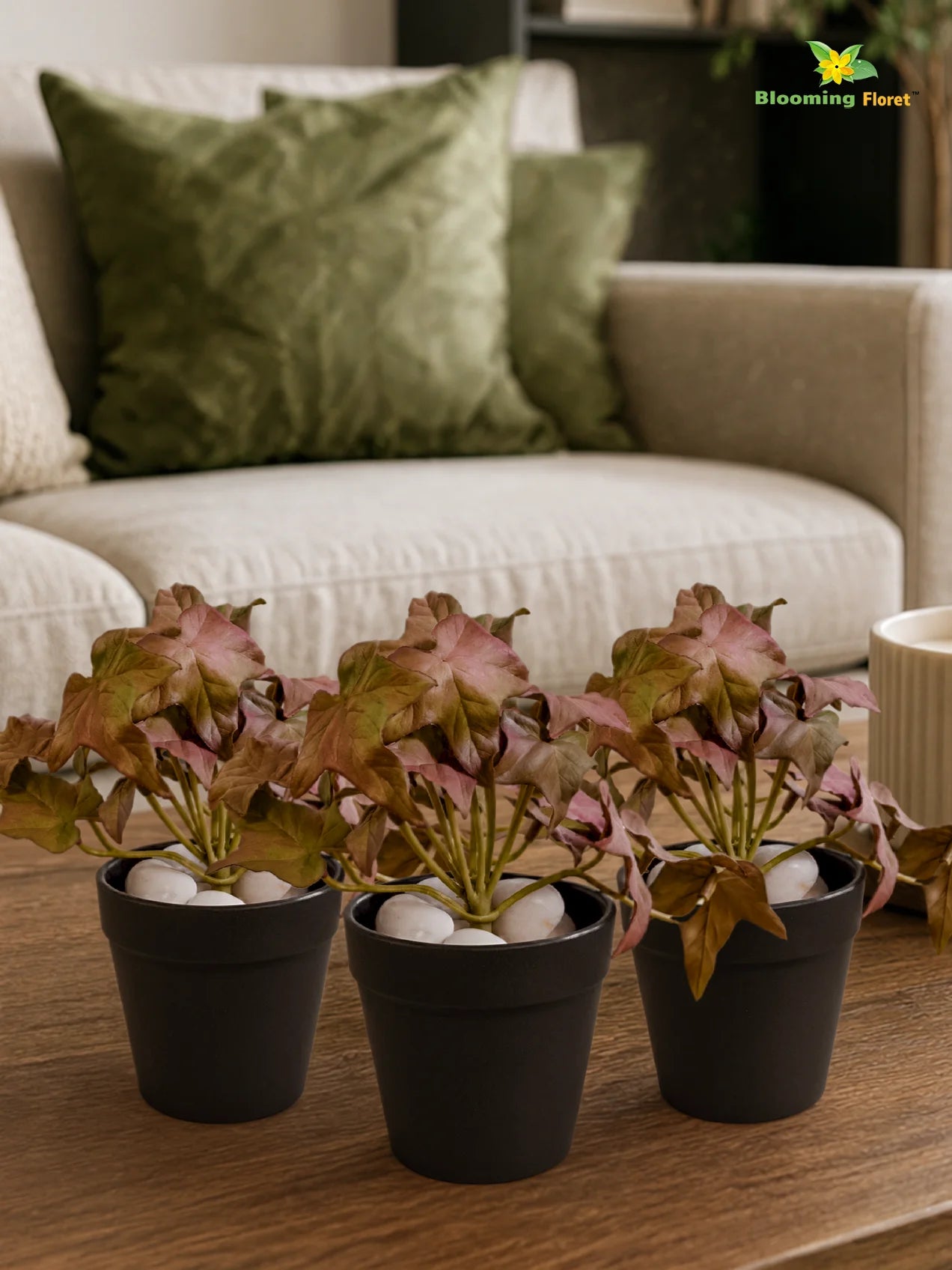 Artificial Ivy Succulent | Army Green | 10 cm | Set of 3