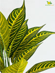 Artificial Ivory Yellow Croton Plant – 71 cm, 26 Leaves, with Pot