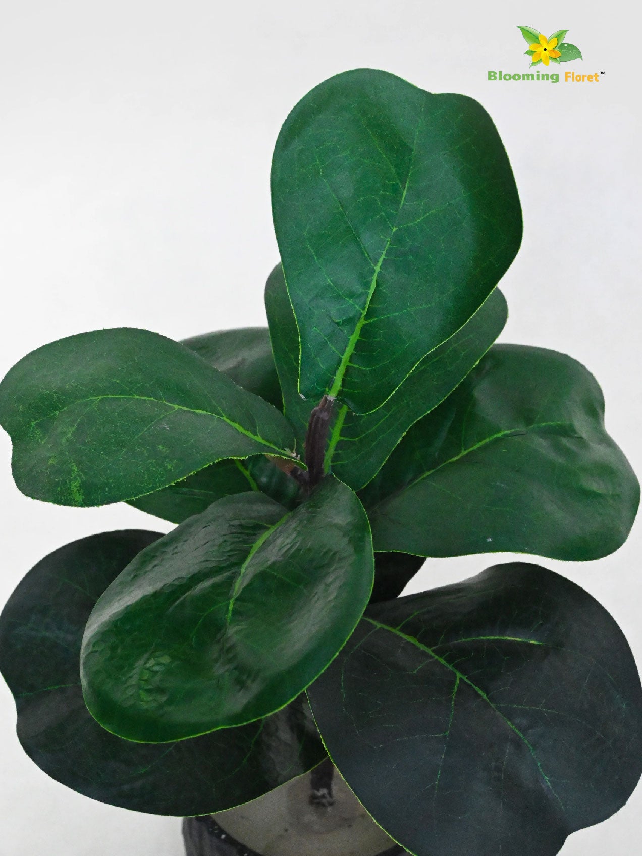 Artificial Fiddle-Leaf Fig Plant – 27.9 cm, 9 Leaves, with Basic Pot