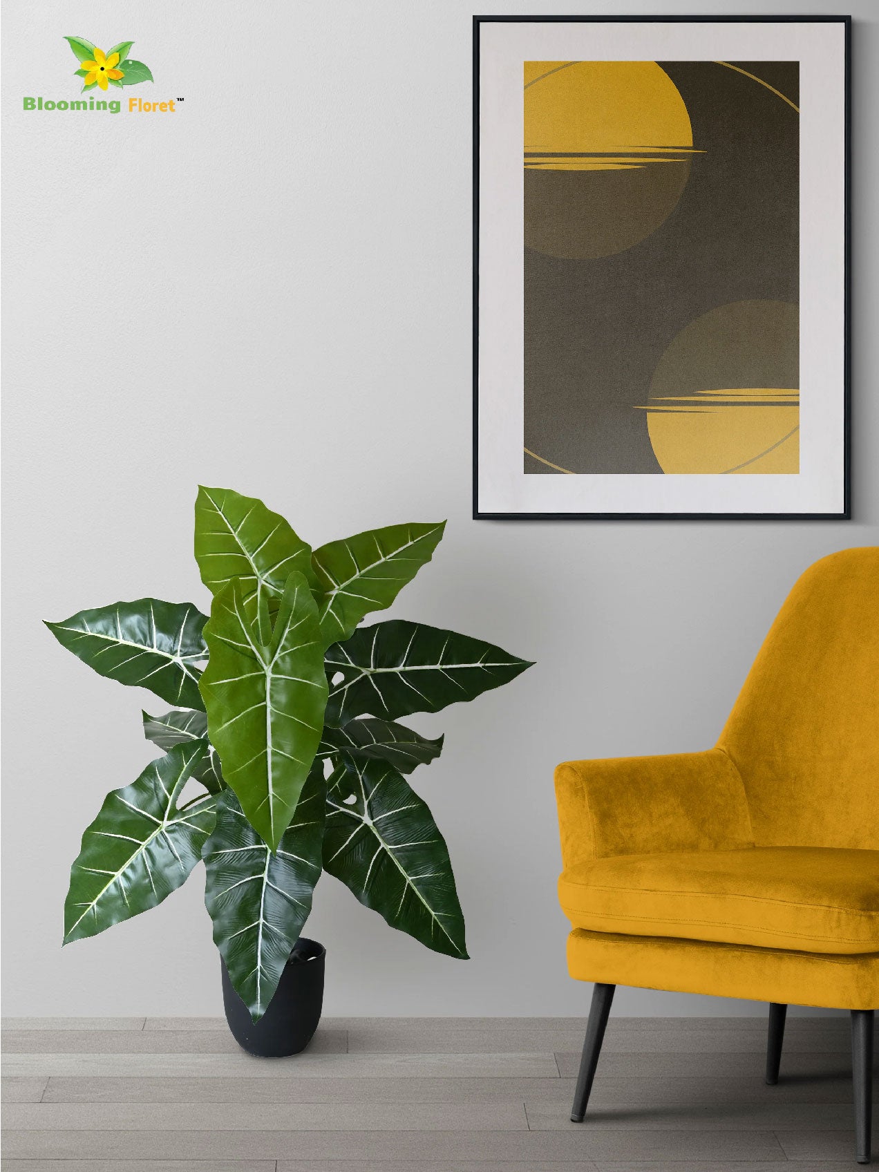 White Veined Caladium Plant – 78 cm, 12 Leaves, with Basic Pot