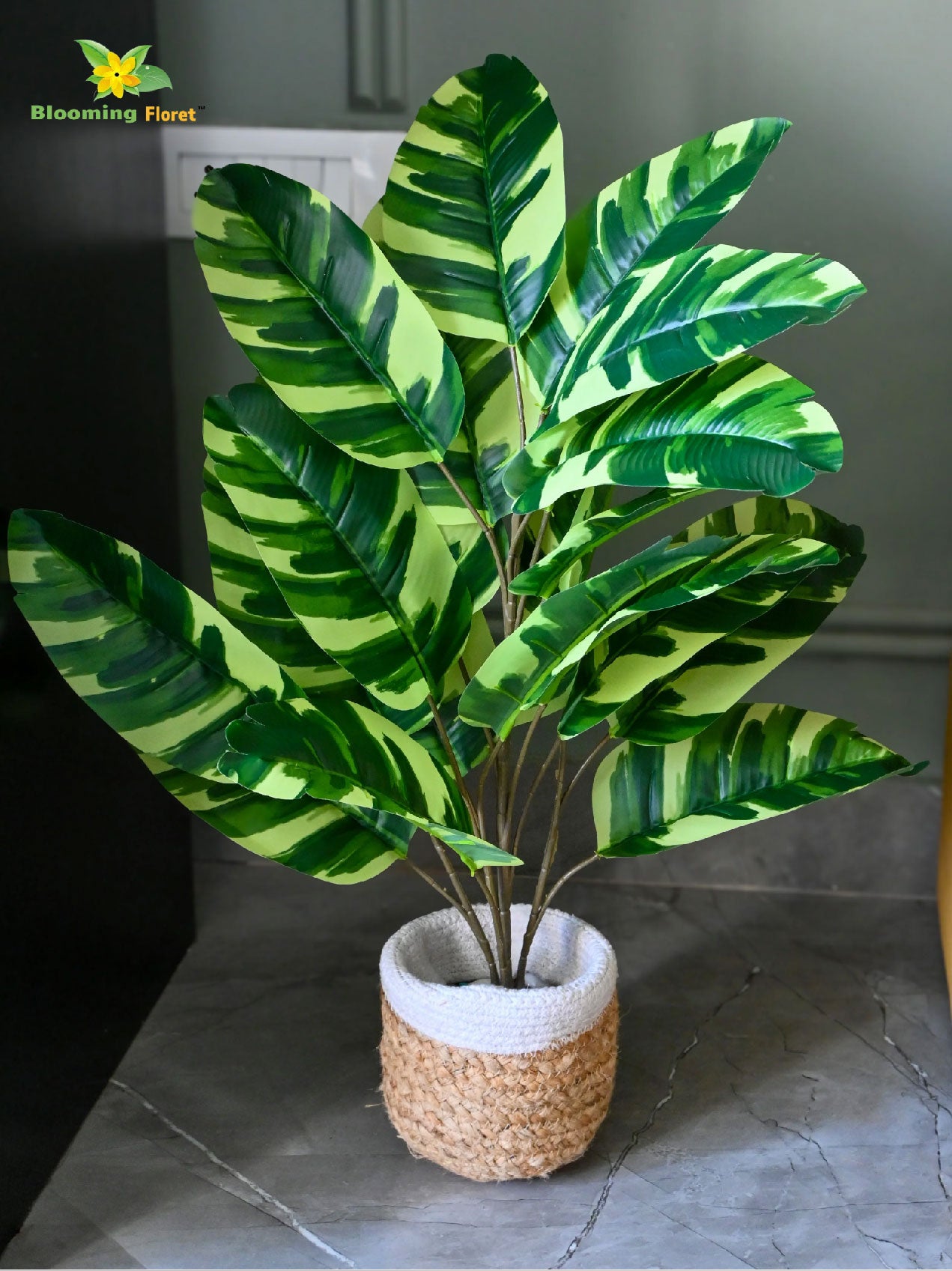 Artificial Calathea Zebrina Plant – 74.5 cm, 21 Leaves, with Basic Pot