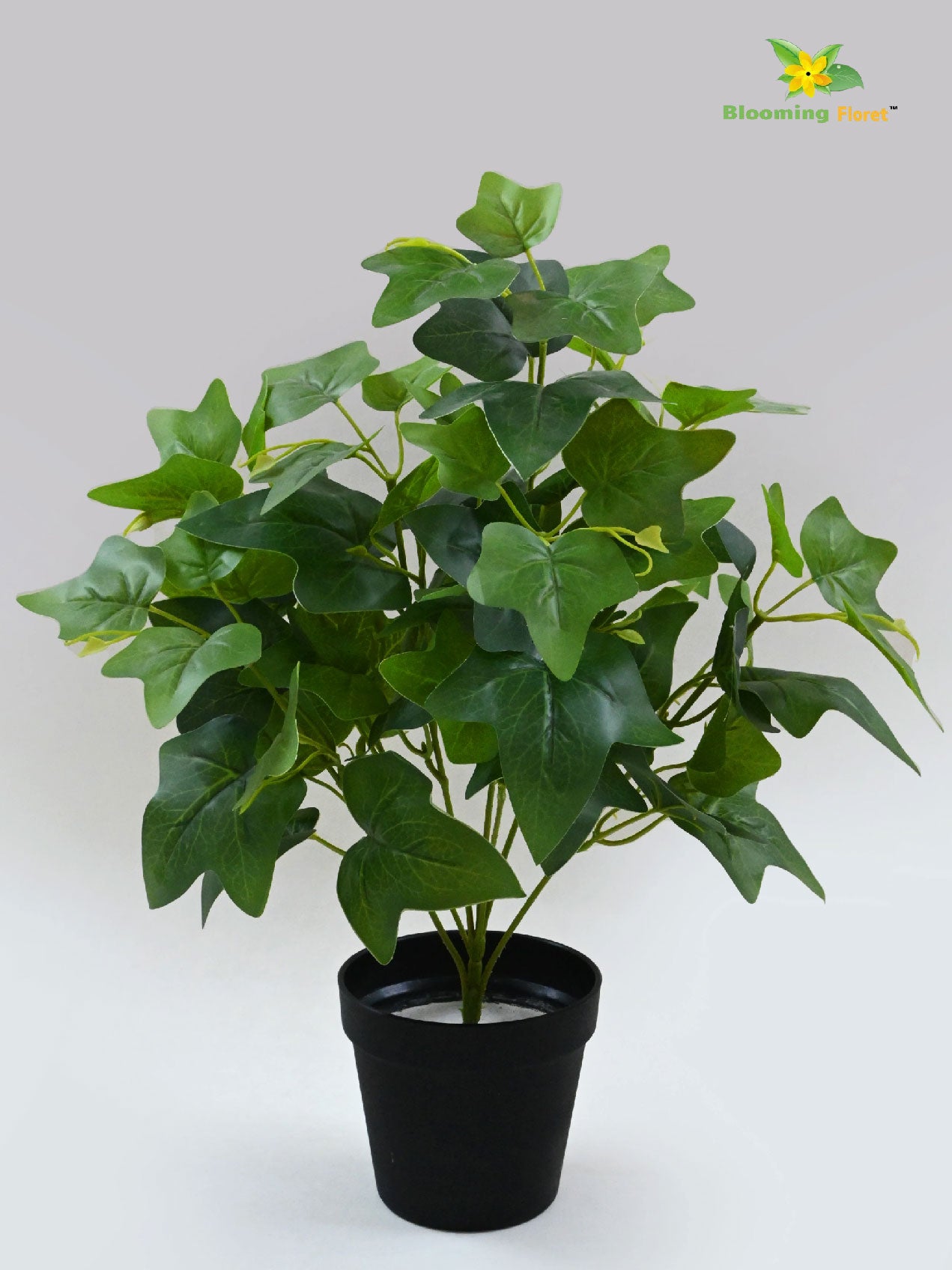 Artificial Japanese Ivy Plant – 48 cm, with Basic Pot