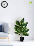 Artificial Calathea Zebrina Plant – 78 cm, 21 Leaves, with Basic Pot