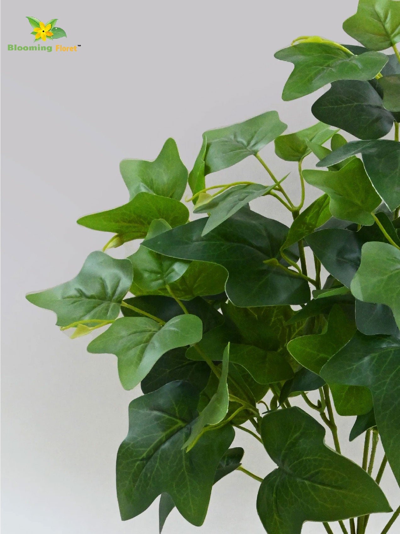 Artificial Japanese Ivy Plant – 48 cm, with Basic Pot