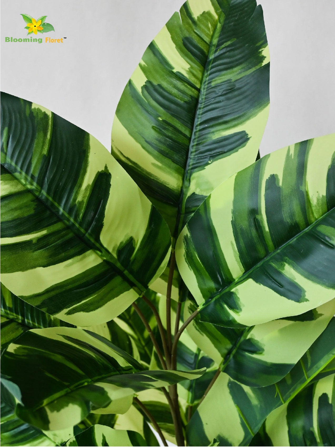 Artificial Calathea Zebrina Plant – 74.5 cm, 21 Leaves, with Basic Pot