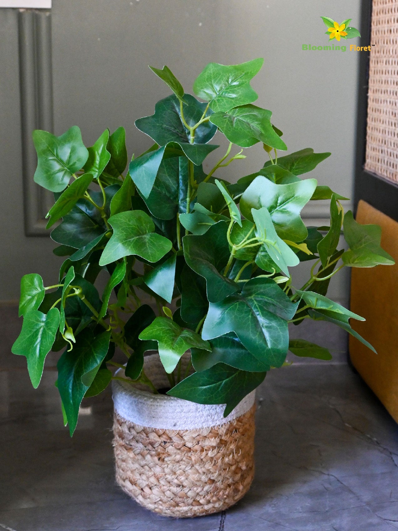 Artificial Japanese Ivy Plant – 48 cm, with Basic Pot
