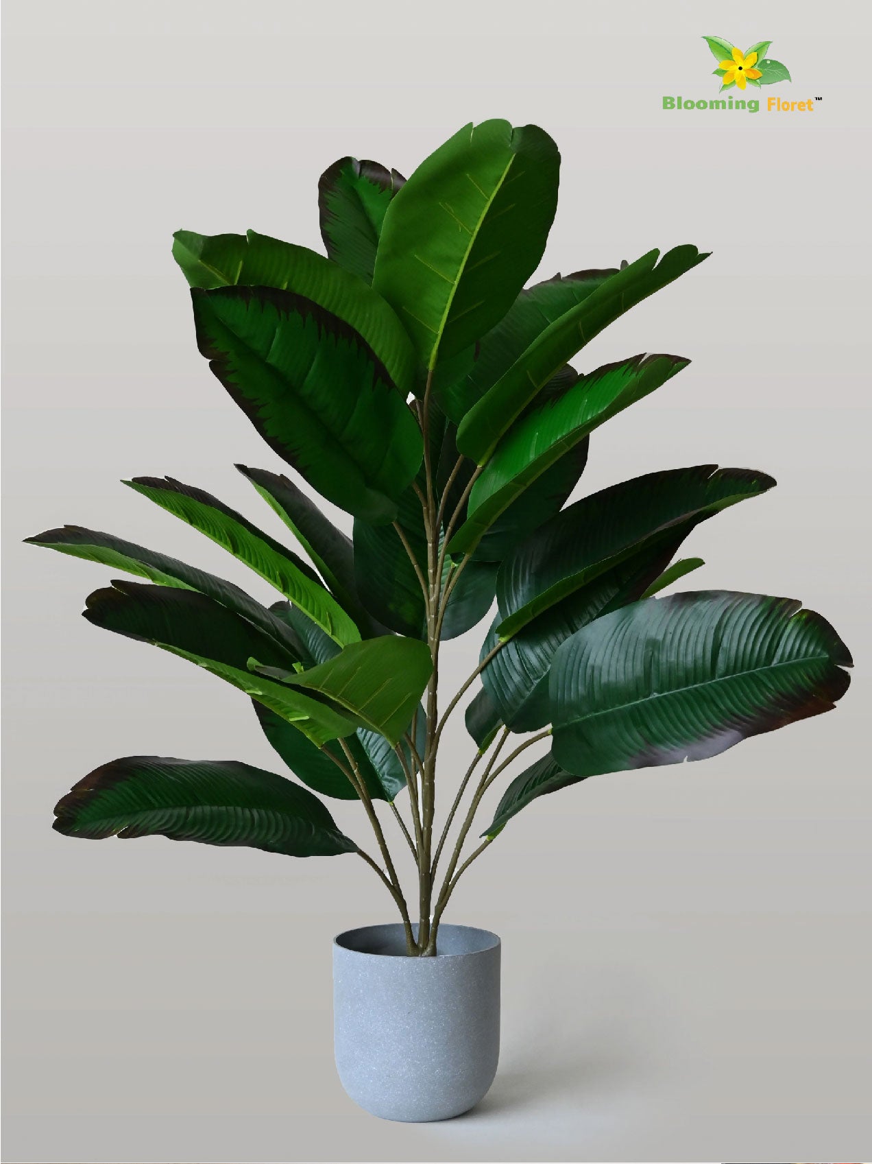 Artificial Birds of Paradise Plant - 74.5 cm, 21 Leaves with Basic Pot