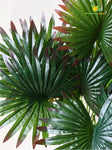 Artificial Fan Palm Plant – 65 cm, 12 Patterned Green Red Leaves, with Basic Pot
