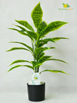 Artificial Snake Plant – 71 cm, 26 Leaves, with Pot
