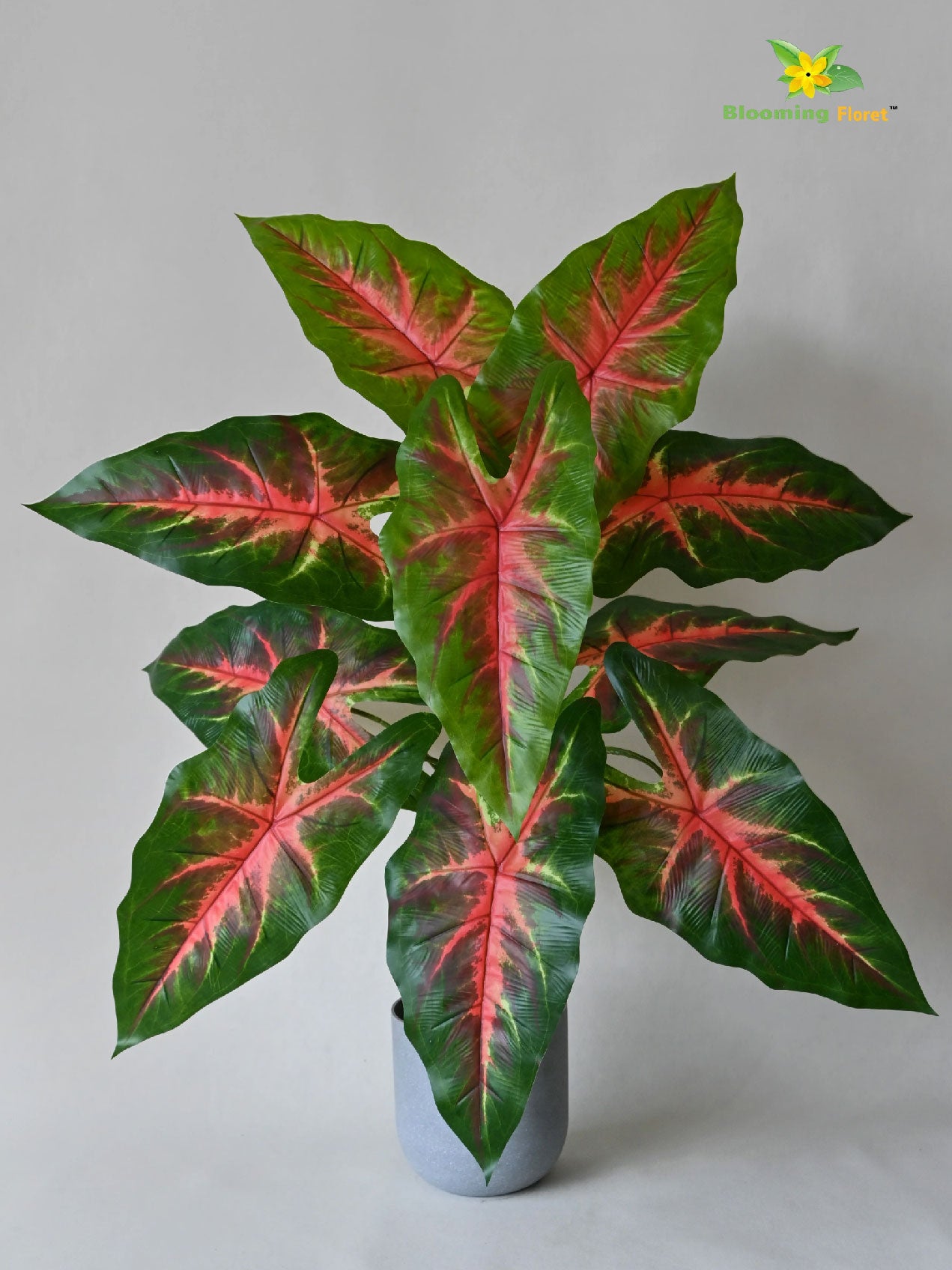 Artificial Red Patched Caladium Plant – 78 cm, 12 Leaves, with Basic Pot