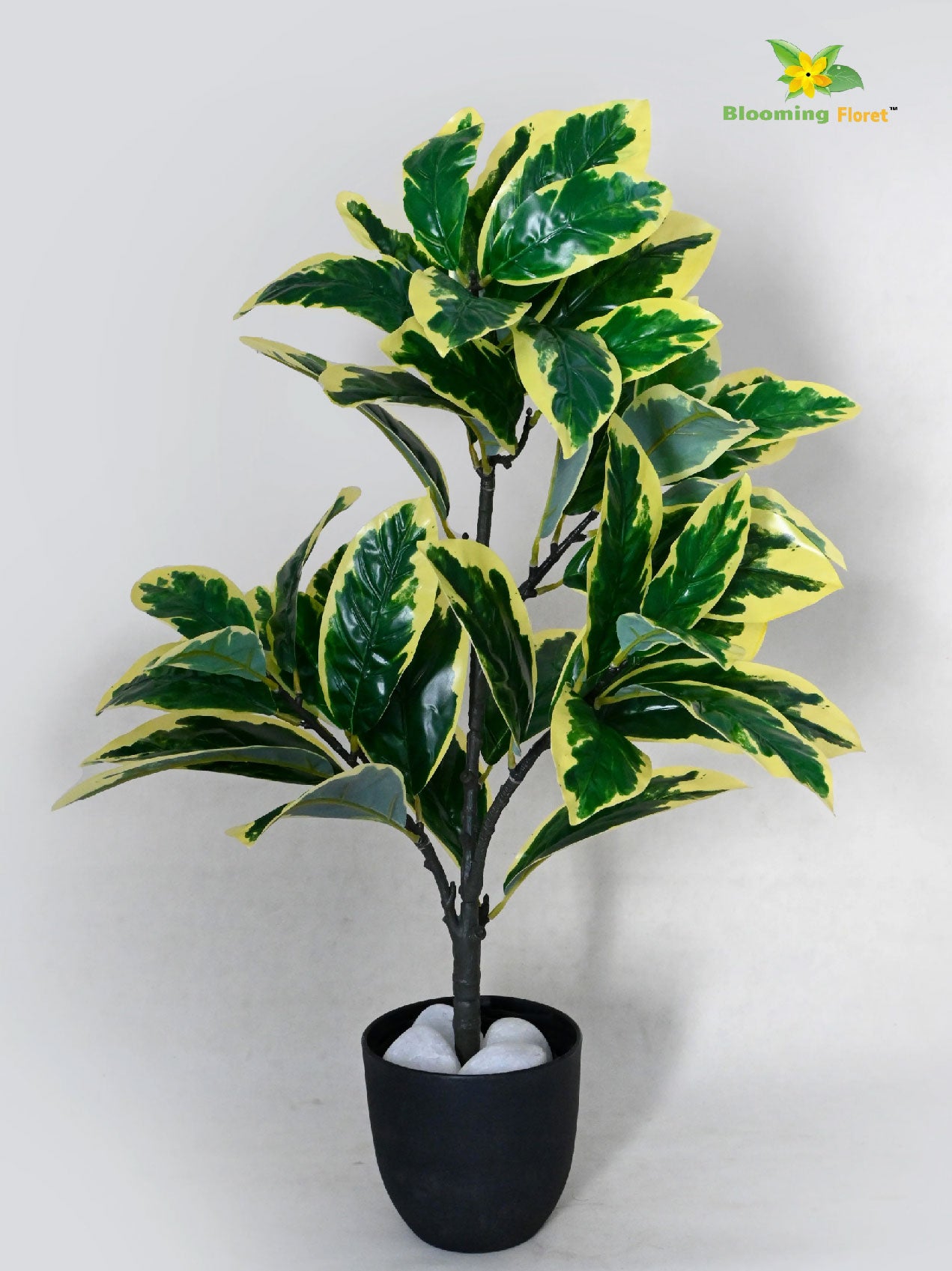 Artificial Pisonia Alba Plant – 65 cm, 30 Leaves, with Basic Pot