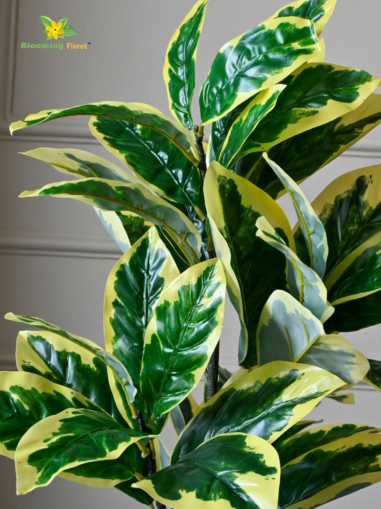 Artificial Pisonia Alba Plant – 65 cm, 30 Leaves, with Basic Pot