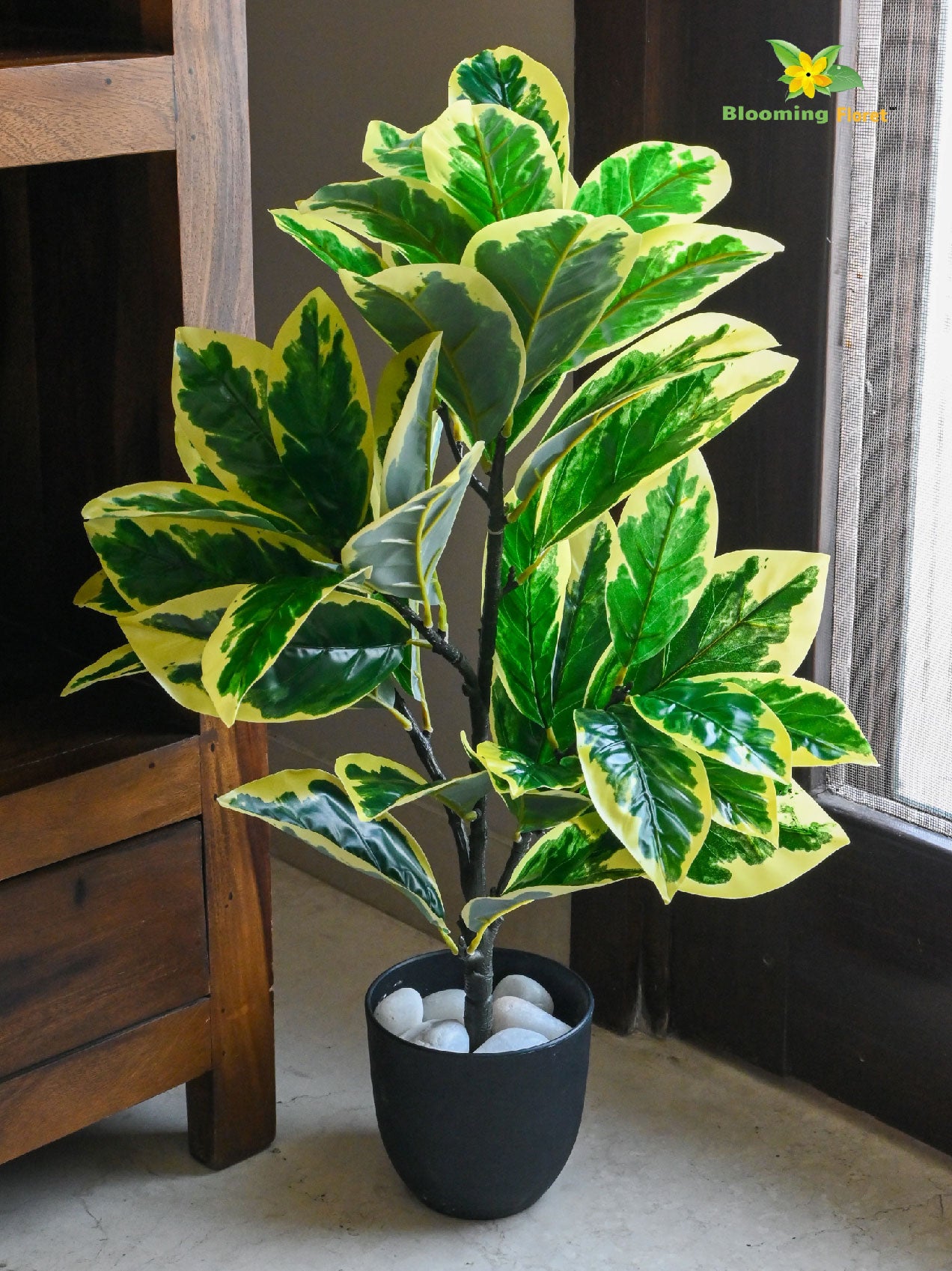 Artificial Pisonia Alba Plant – 65 cm, 30 Leaves, with Basic Pot