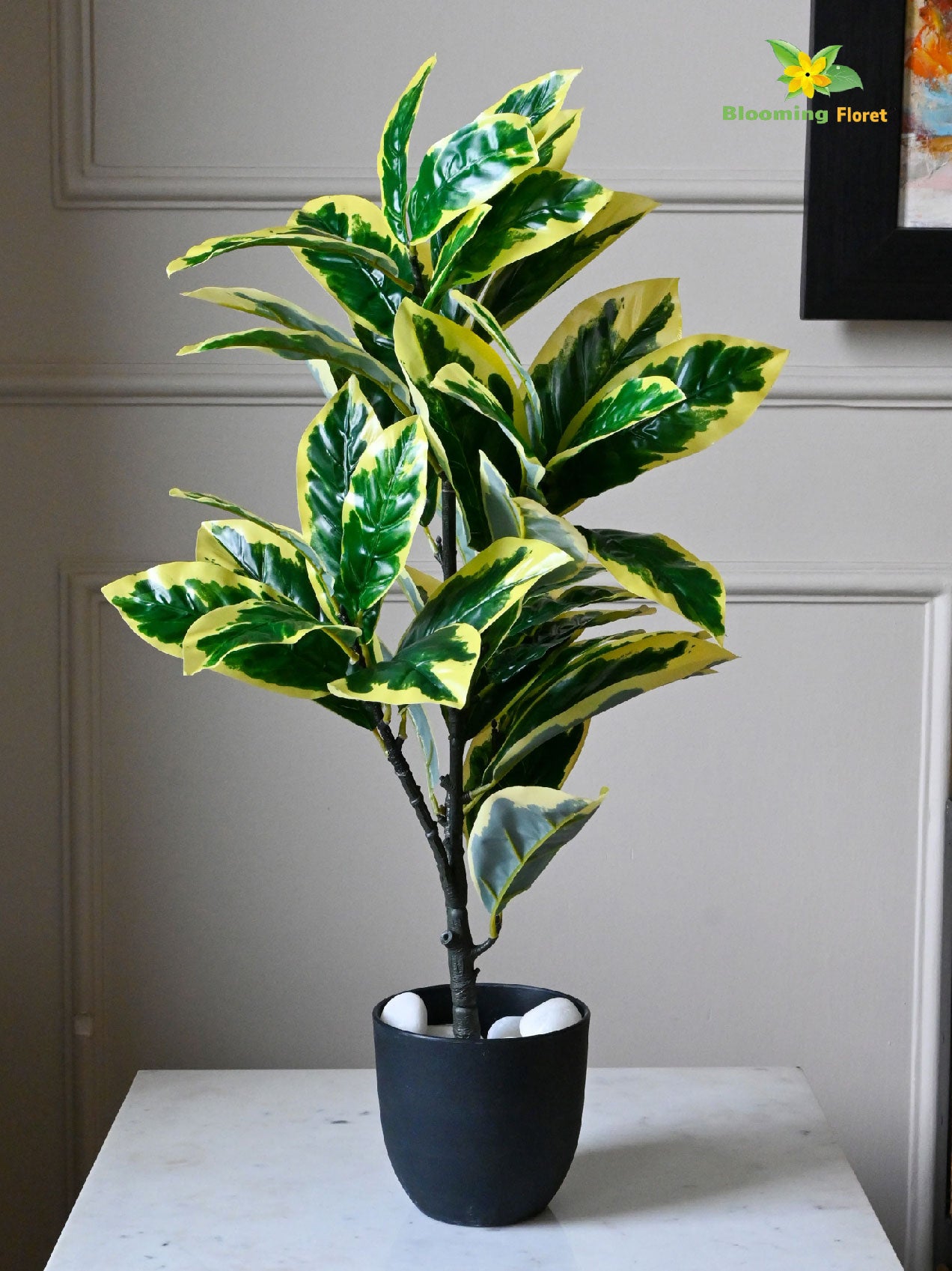 Artificial Pisonia Alba Plant – 65 cm, 30 Leaves, with Basic Pot