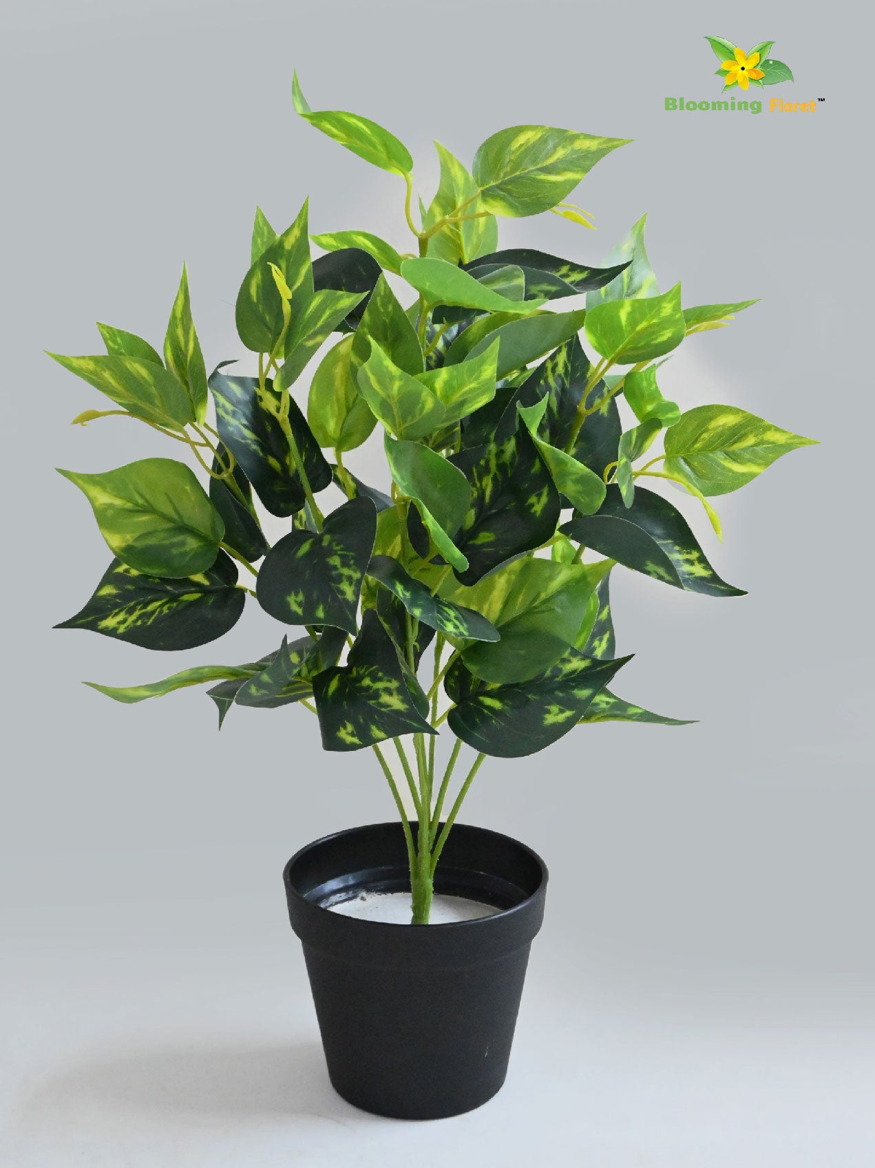 Artificial Golden Pothos – 48.3 cm, with Basic Pot
