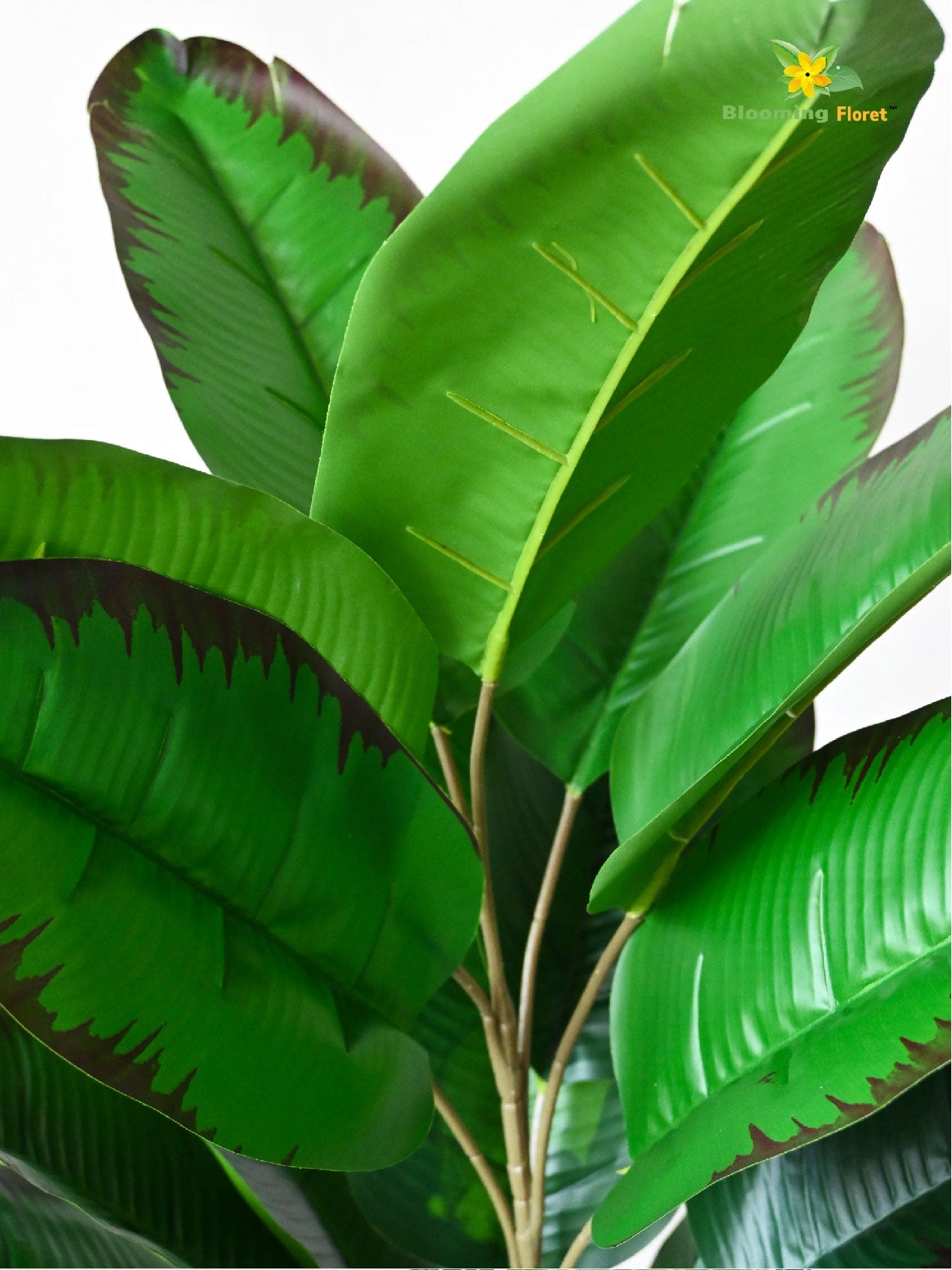 Artificial Birds of Paradise Plant - 78.7 cm, 21 Leaves with Basic Pot