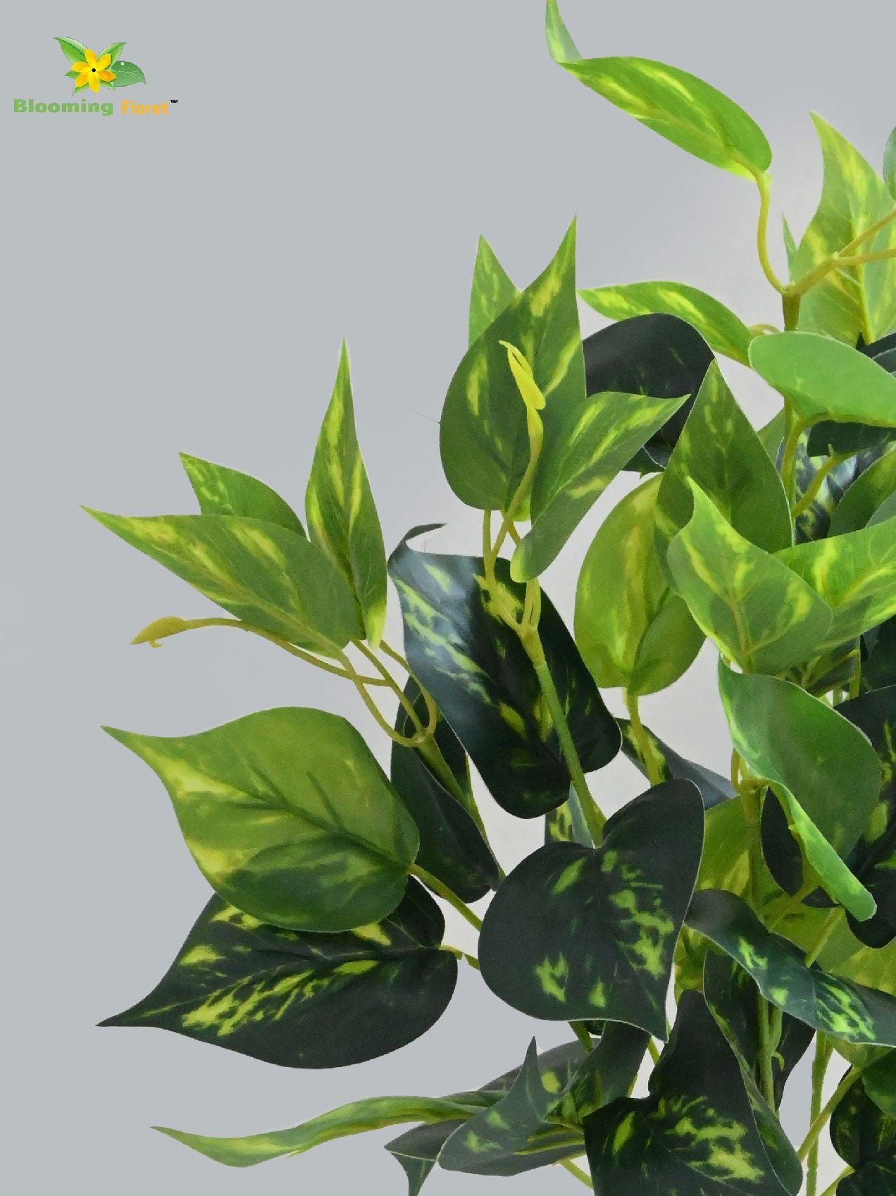 Artificial Golden Pothos – 48.3 cm, with Basic Pot