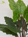 Artificial Taro Plant - 90.1 cm, 9 Leaves with Basic Pot