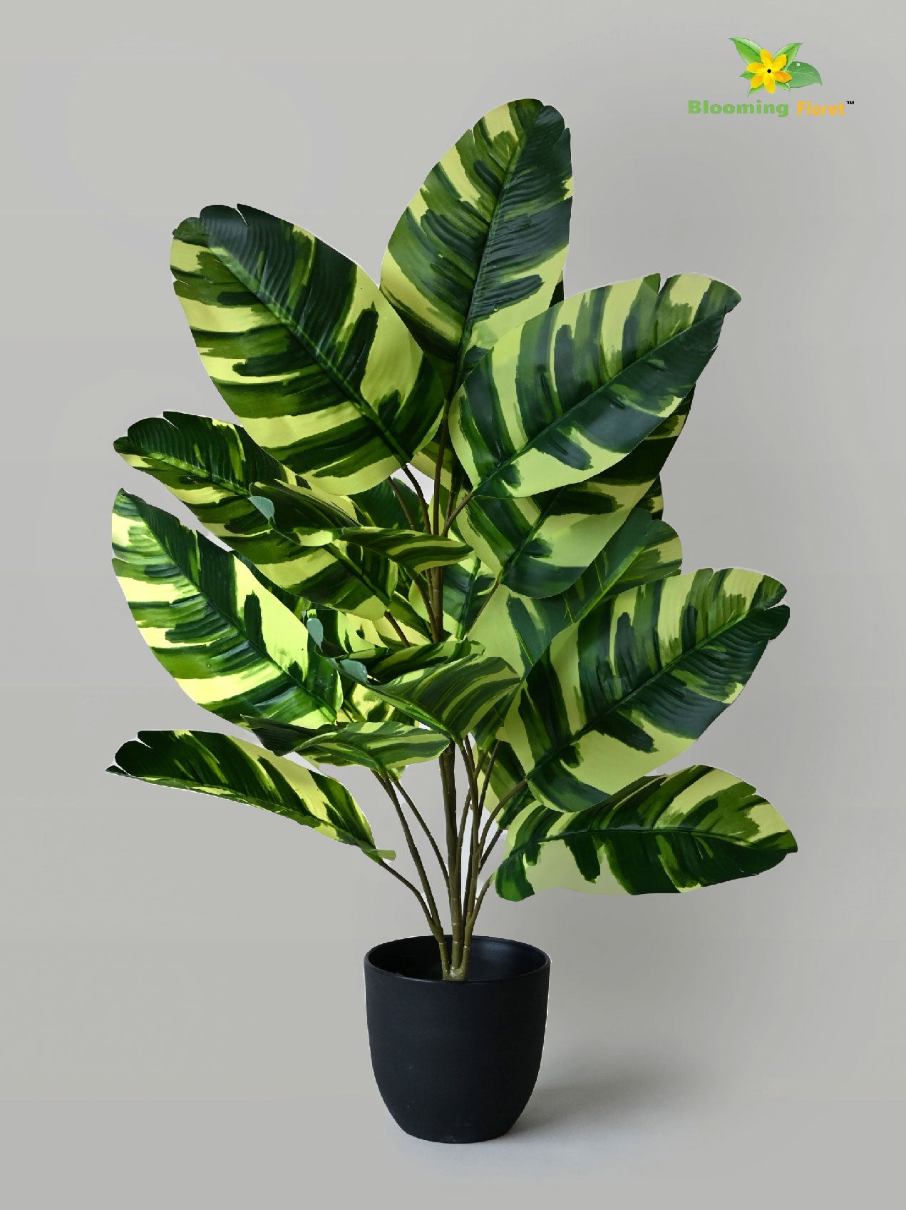 Artificial Calathea Zebrina Plant – 78 cm, 21 Leaves, with Basic Pot