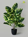 Artificial Calathea Zebrina Plant – 78 cm, 21 Leaves, with Basic Pot