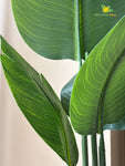 Artificial Banana Plant – 108 cm, 3 Stem, 7 Leaves, with Basic Pot