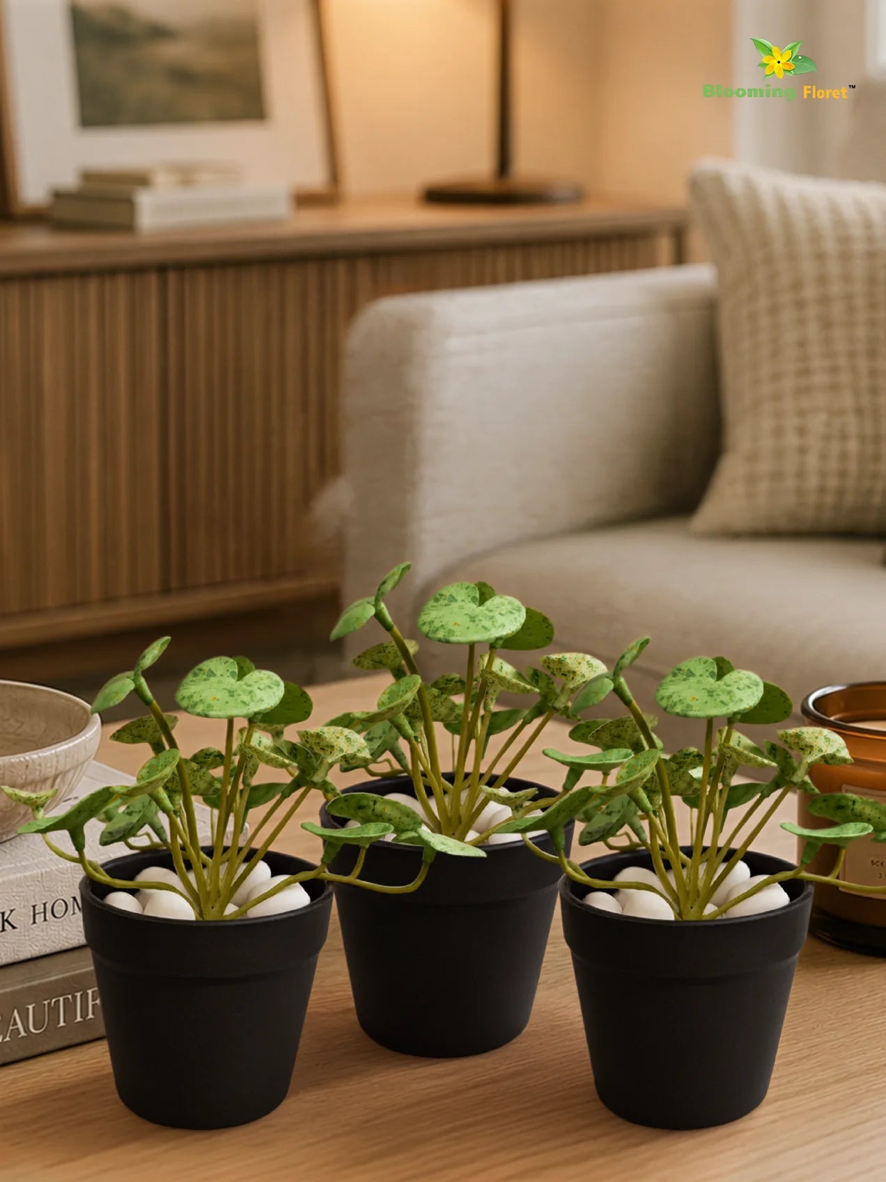 Lush Leaf Pennywort Artificial Succulent | Mixed Green Patterned | 14 cm | Set of 3