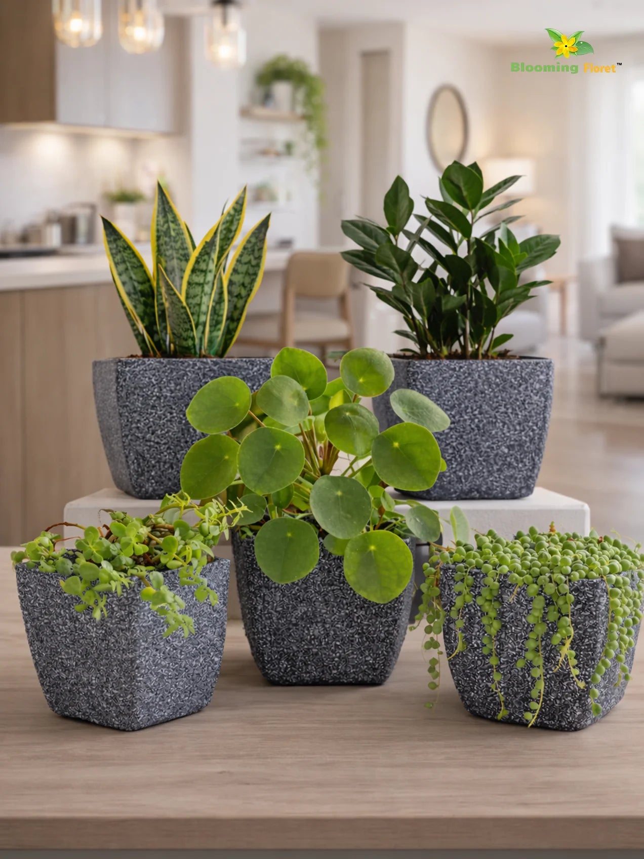 Coarse Textured Square Planter Pot | 15 cm | Set of 5