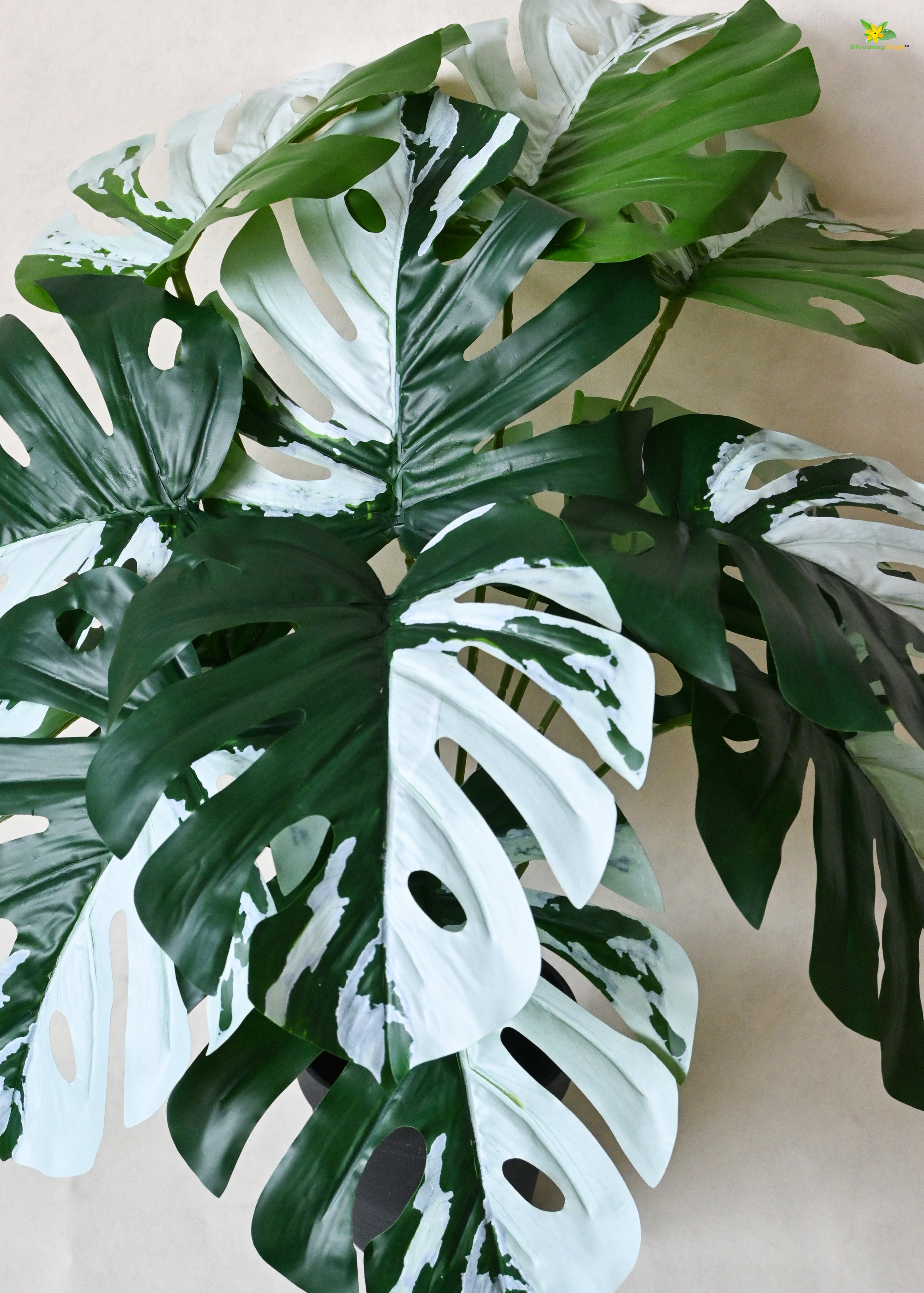 Artificial Monstera Plant for Decor | 12 Leaves with Basic Pot | 60.9 cm